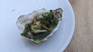 Oyster mushrooms at Konijnenvoer in Arnhem