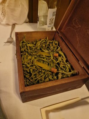  at Konijnenvoer in Arnhem