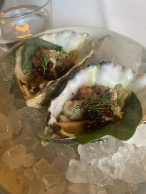 Oh  at Konijnenvoer in Arnhem