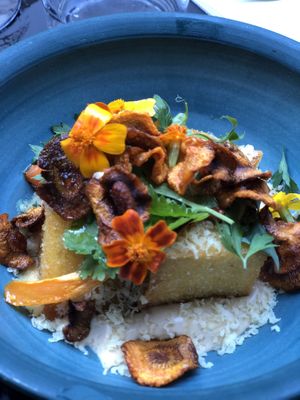 Polenta  at Konijnenvoer in Arnhem