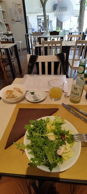 Insalada/Salad at Humus Bio Bakery Bistrot in Parma