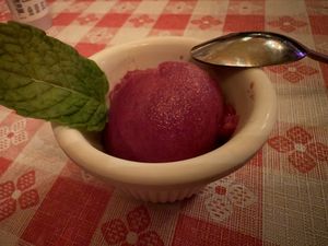 Sorbet  at Fradelizio's Ristorante in Fairfax