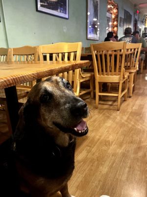 Incredibly dog friendly  at Chicora Alley in Greenville