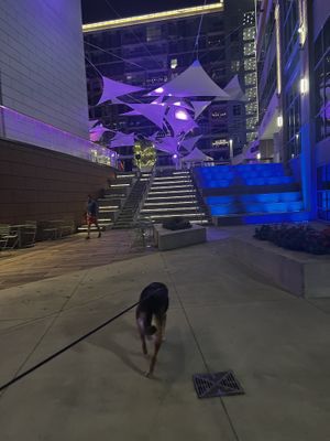 Perfect location downtown  at Chicora Alley in Greenville