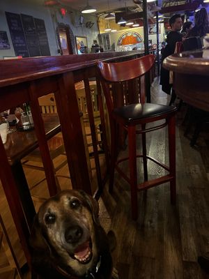 Dog loving restaurant  at Chicora Alley in Greenville