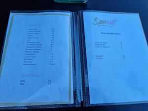 Menu at Sprout in Bruges