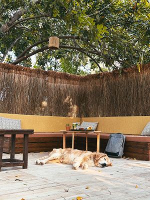  at Maki Inn in Cirali