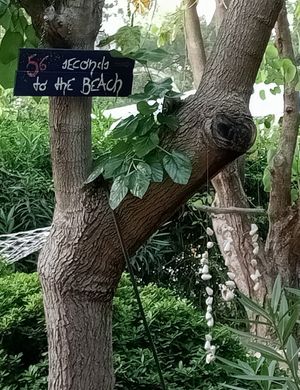  at Maki Inn in Cirali