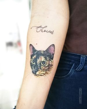 Kitty cat at Monitattoo in Morro De Sao Paulo