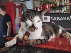  at RedBus.LV in Jurmala