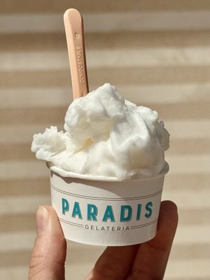   at Paradis Gelateria in Oslo