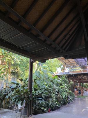   at Jejamuran in Yogyakarta