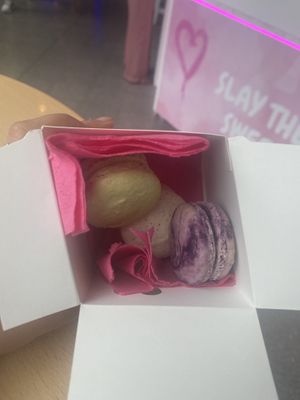   at YumYum in Manchester