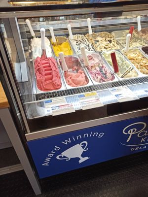 The Vegan section at Panunzio's Kitchen Gelati Italiani in Bristol