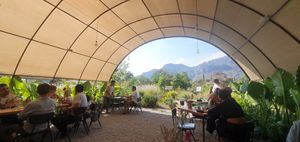 Hermoso lugar, linda vista at Parcela Restaurante in Tepoztlan