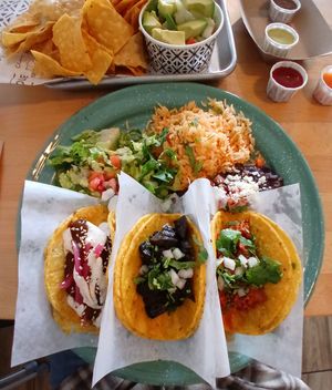 Mushroom, Plantain and Jack fruit tacos at Tacotarian in San Diego