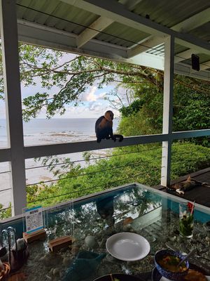  at Cabinas La Parcela in Dominical