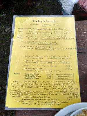 Menu at Willow Vegetarian Garden Restaurant in Totnes