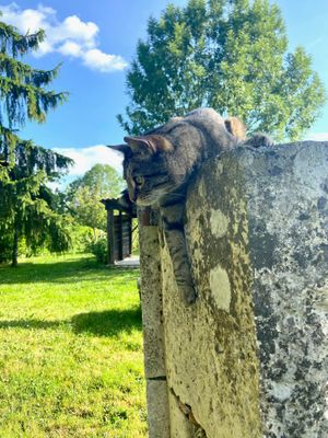  at La Colline aux Licornes in Montbron