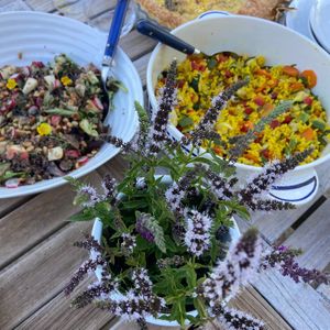  at La Colline aux Licornes in Montbron