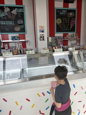 My son looking at the non vegan cones  at Coney Waffle in Brooklyn