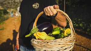 Our farm provides us with most of our ingredients used at Avli in Malia in Crete