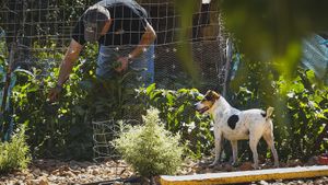 Most ingredients come from our BIO farm at Avli in Malia in Crete