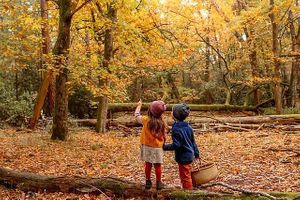 Magic Forest Folk is an online shop for kids serving areas in Victoria, Australia at Magic Forest Folk in Barkers Creek