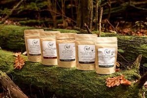 Magic Forest Folk's range of herbal teas and elderberry kits for kids in Victoria, Australia at Magic Forest Folk in Barkers Creek