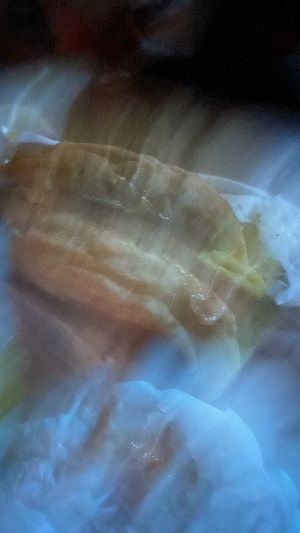 Breakfast sandwich   at Vegan Van @ Park Hill Kitchens in Denver