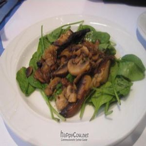 Magic Mushrooms at The Oneness-Fountain-Heart in Flushing