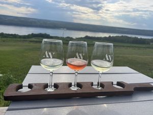 Wine Flight  at Atwater Vineyards in Burdett