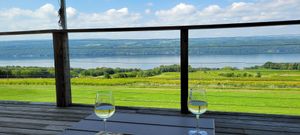 Beautiful view at Atwater Vineyards in Burdett