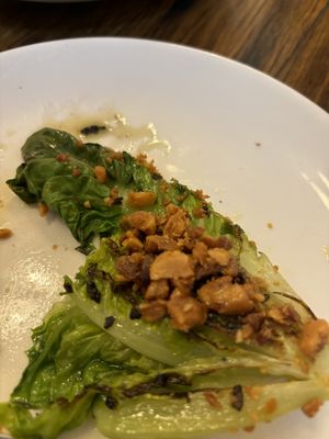   at Tempus in Katoomba