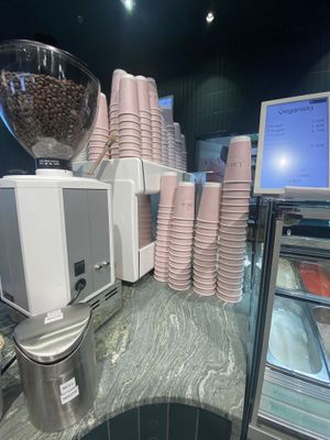 Atmosphere at VIE - The Lala / Veganista - T1-C in Vienna