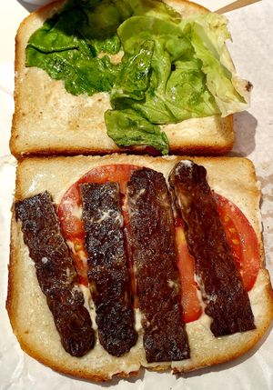  at VIE - The Lala / Veganista - T1-C in Vienna