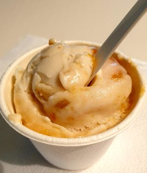  at VIE - The Lala / Veganista - T1-C in Vienna