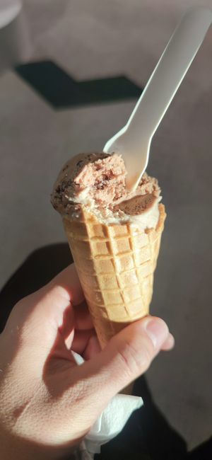  at VIE - The Lala / Veganista - T1-C in Vienna