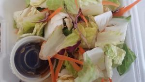 salad ZEN FORREST came with (frozen & reheated) General Tso tofu at Zen Forrest in New Port Richey