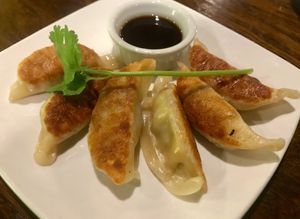Veggie dim sum (fried) at Zen Forrest in New Port Richey