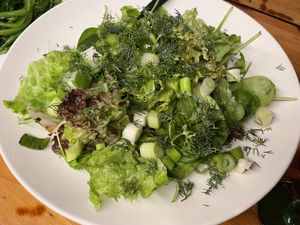 Green salad w/fresh dill    at Art & Taste in Rhodes