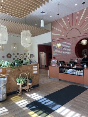   at Life Alive Organic Cafe in Cambridge