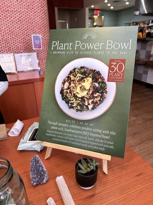   at Life Alive Organic Cafe in Cambridge