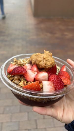   at Life Alive Organic Cafe in Cambridge