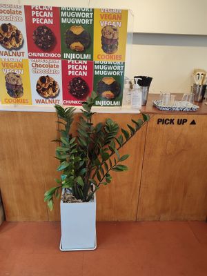 #Veganuary at Sweet Cookies 꿀넹 쿠키 in Seoul