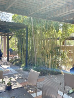 Enasma Cafe, Lake Agia  at Enasma Cafe in Crete