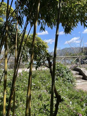 View from Enasma Cafe, Lake Agia  at Enasma Cafe in Crete