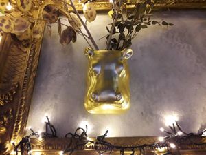 Hippo at Fukafe in Gdansk