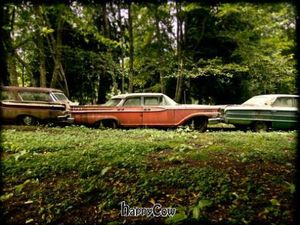 Cars on the farm. at Someday Farm Vegan Bed and Breakfast in Freeland