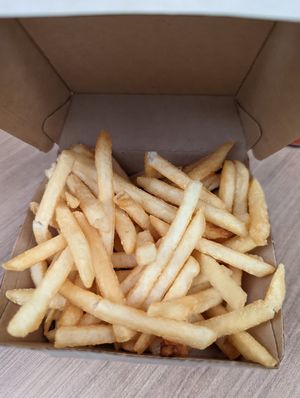 Perfect crunchy fries at Bvrger in Montreal